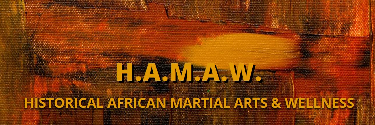HAMAW: Historical African Martial Arts & Wellness's banner