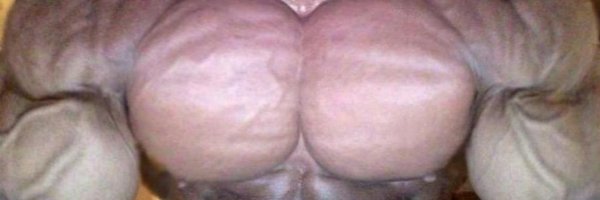 stevestrongarm Profile Banner