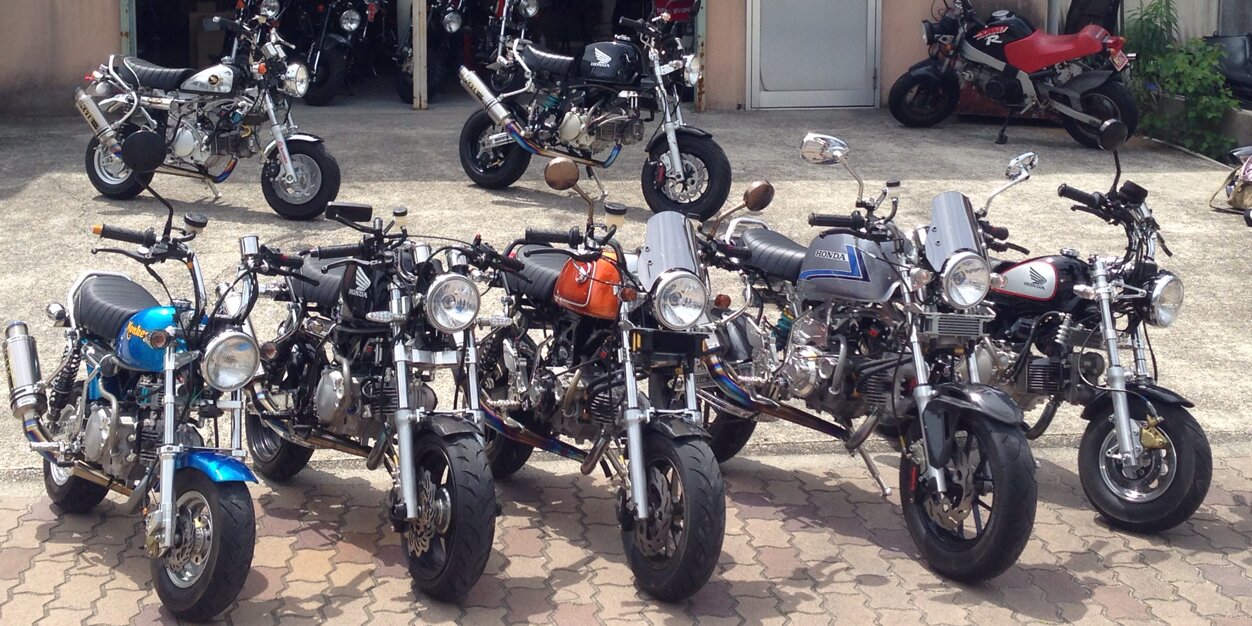 青猿(スペゴリともいう) banner