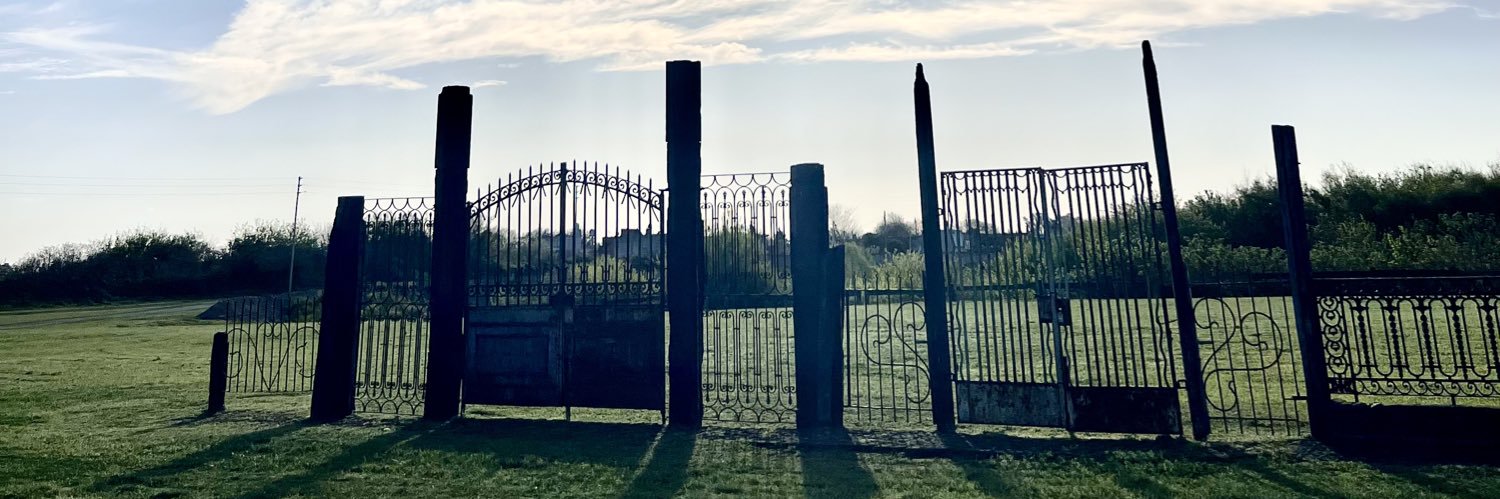 campanopolis's profile banner image