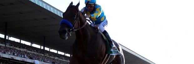 gontapia's profile banner image