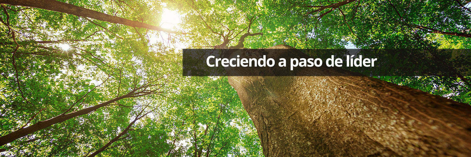 ParquetAstorga's profile banner image