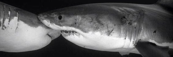 JeansAndSheux Profile Banner