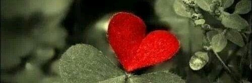 11:11 banner