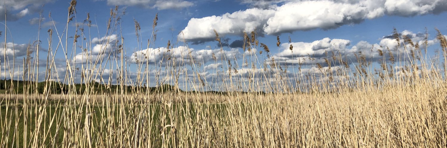 Oleksii Kliukin banner