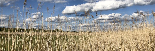 hintbits Profile Banner