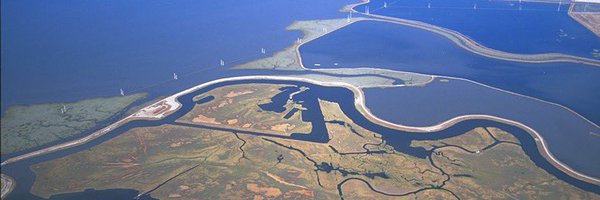 SFBayRestore Profile Banner