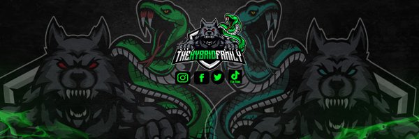 TheHybridFamily Profile Banner