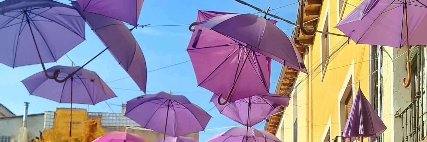 paitomora's profile banner image