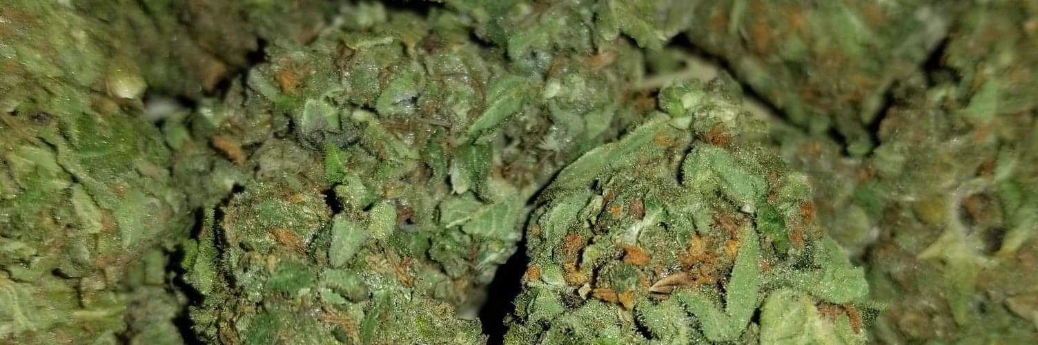 Ogtricky4201's profile banner image