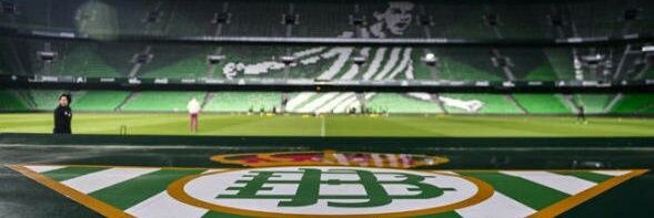 pecasca's profile banner image