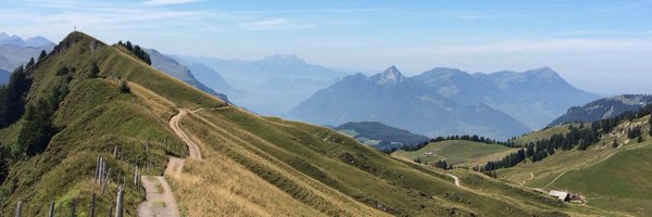 Chai_vis Profile Banner