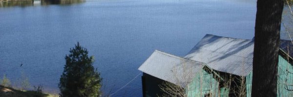 FlederS Profile Banner