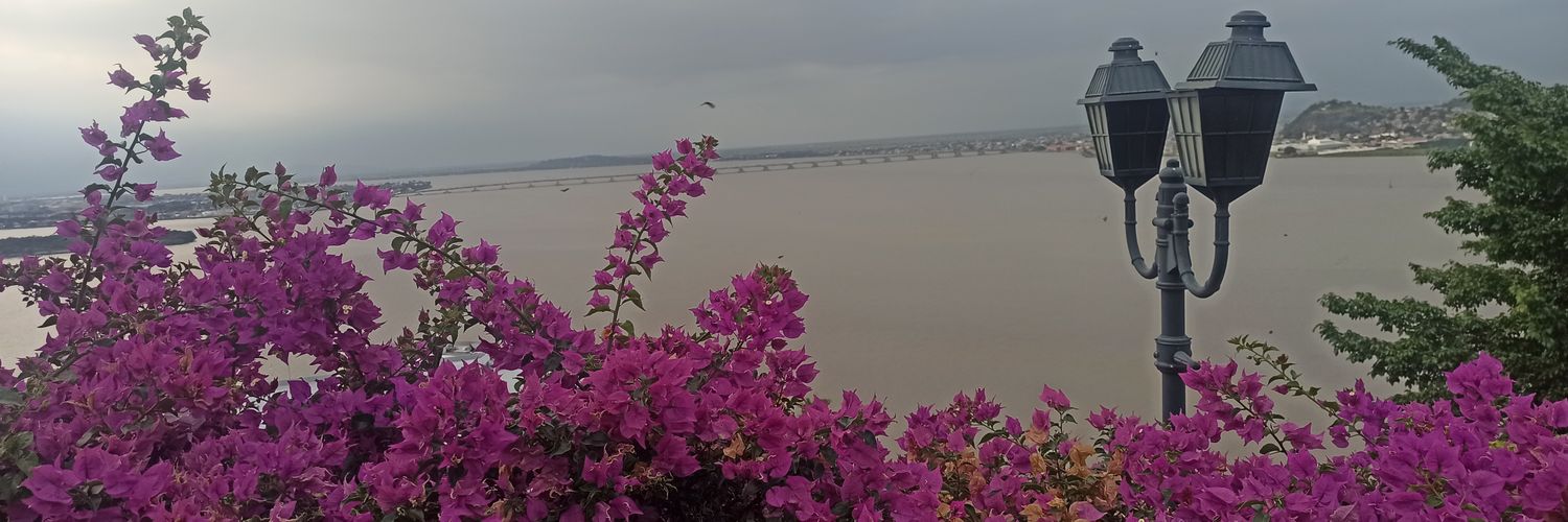 Migcora's profile banner image
