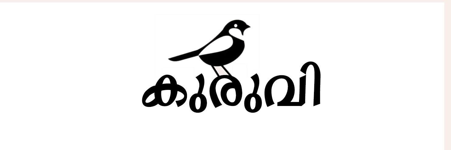 കുരുവി🕊️✨ banner