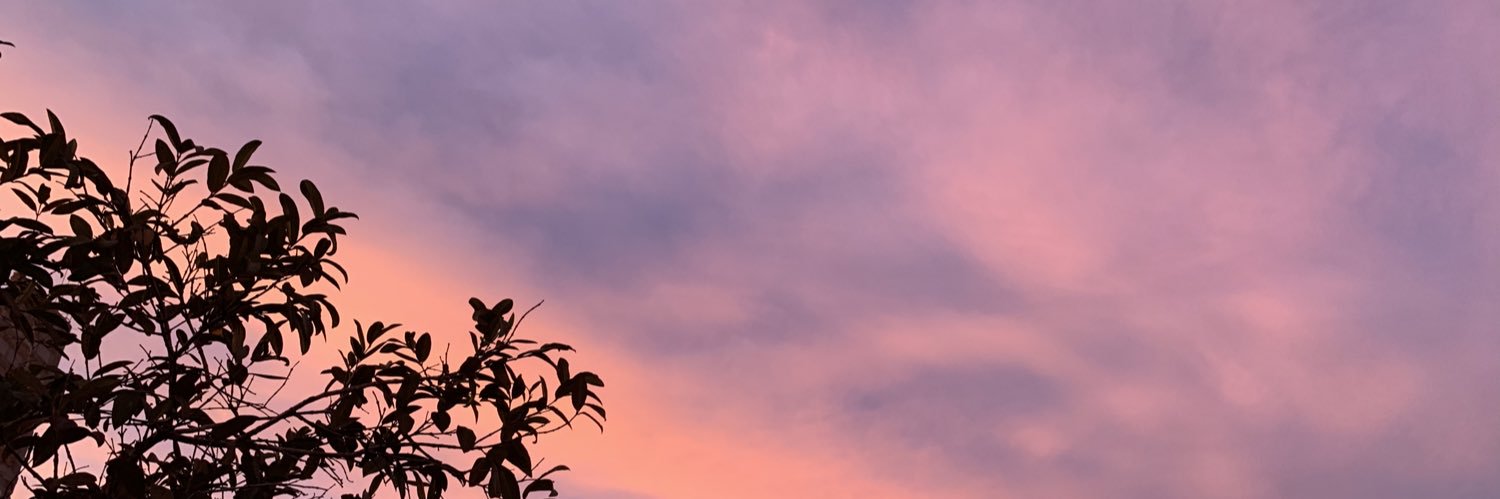luz_favee's profile banner image