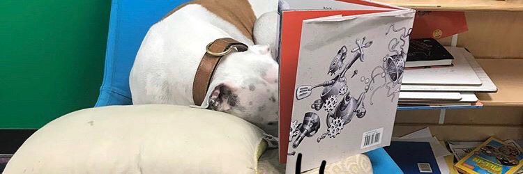 Chwinwi Ghogomu banner