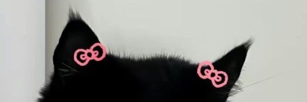 𝑇ℎ𝑒𝑊𝑖𝑡ℎ𝐹𝑎𝑐𝑒 banner