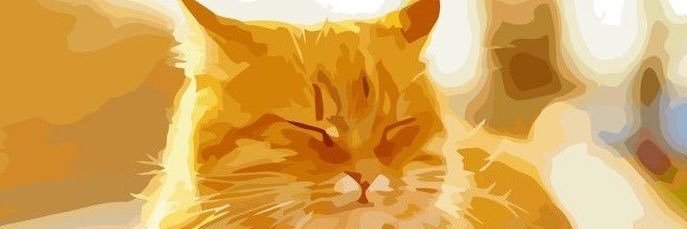 dedosdechorizo's profile banner image