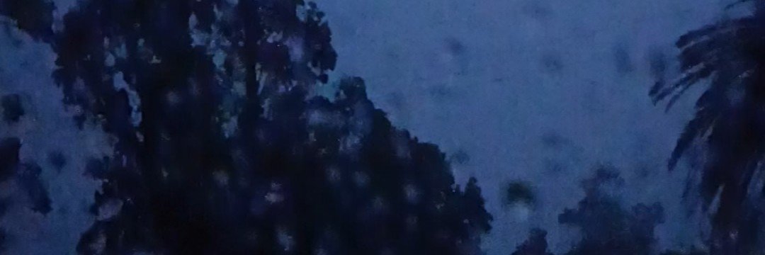 alismora_'s profile banner image