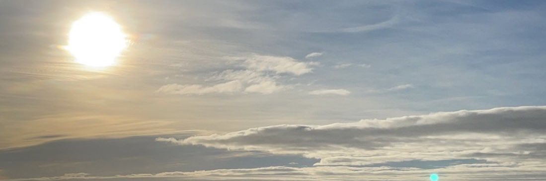 أمجد السُّلمي banner