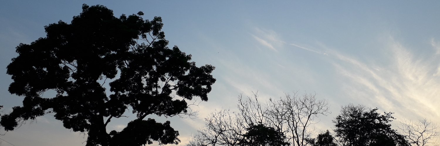 mdnahinalam's profile banner image