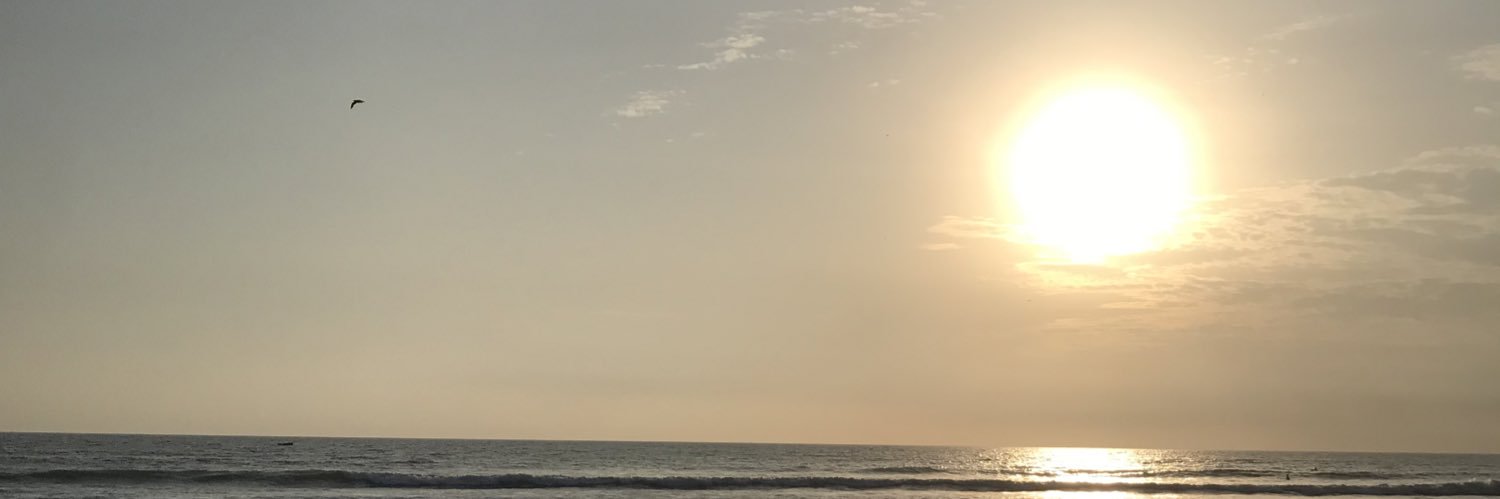 Diegoramirezri's profile banner image