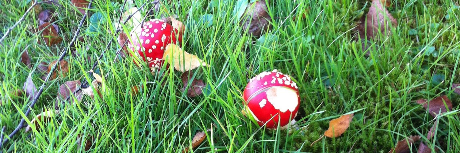 freshdrum's profile banner image