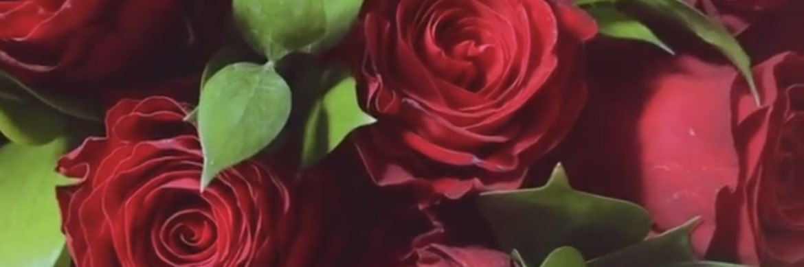 AyandaGashi's profile banner image