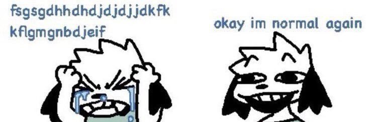 ddd banner