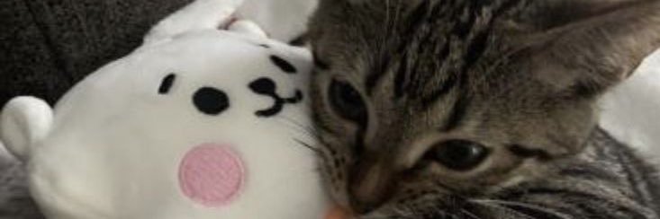 hanakovityyy's profile banner image