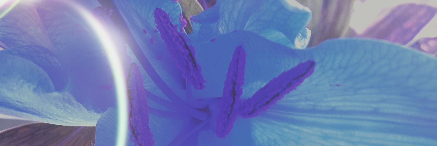 colinwilliaman2's profile banner image