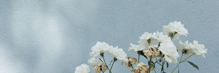 taecupss_'s profile banner image