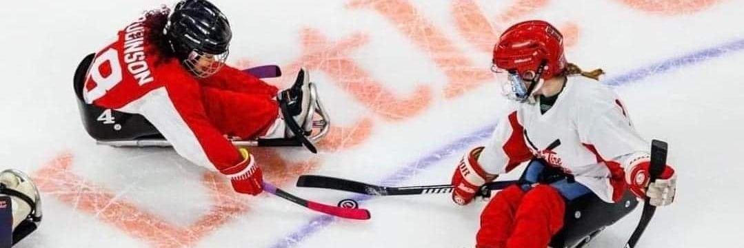 Belle Tire Sled Hockey banner