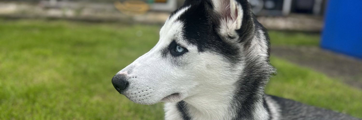 bevskay's profile banner image