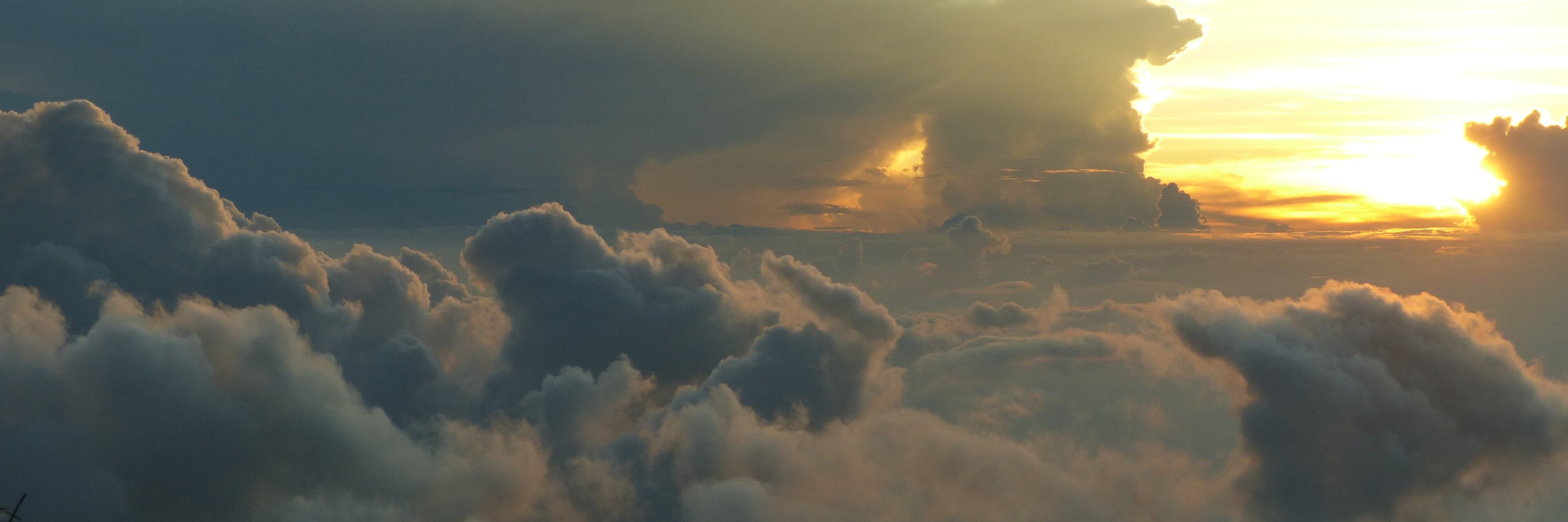 lucieherself's profile banner image