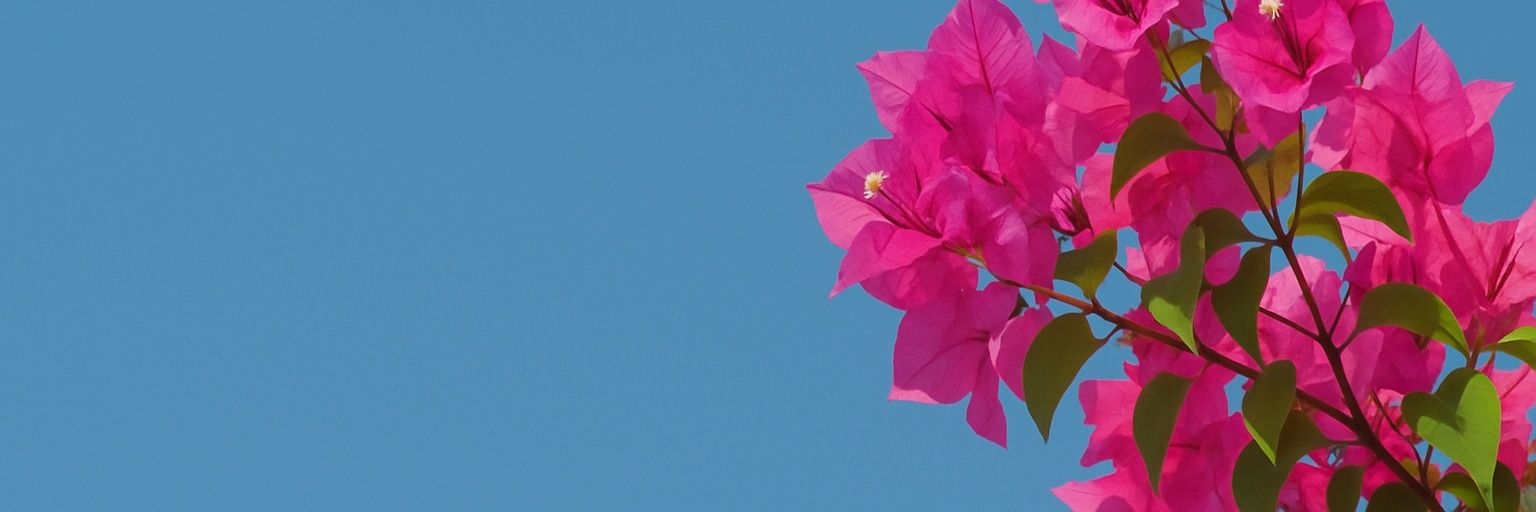 Menk______'s profile banner image
