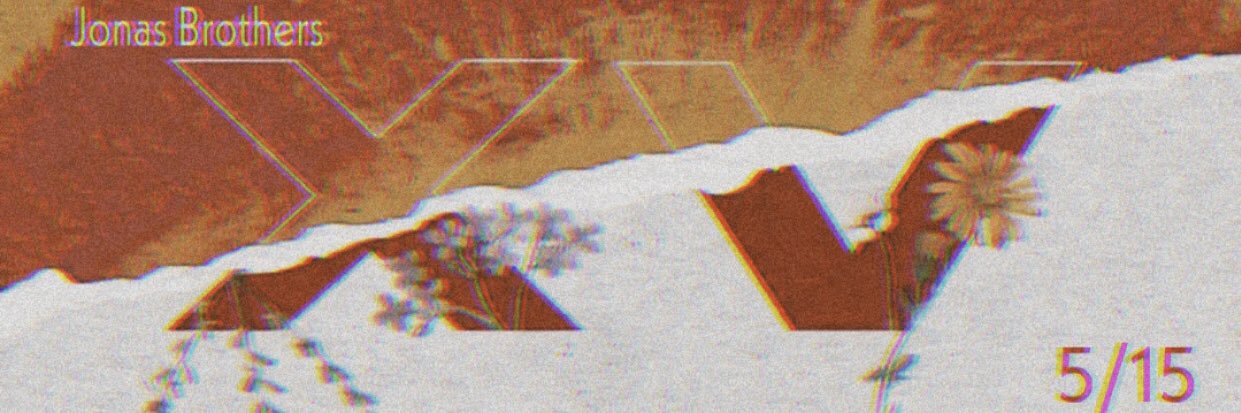 jυѕт jonaѕ banner