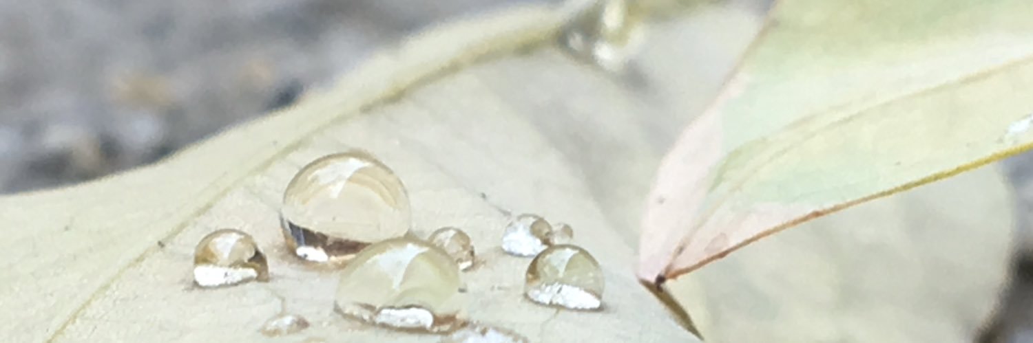 maacli's profile banner image