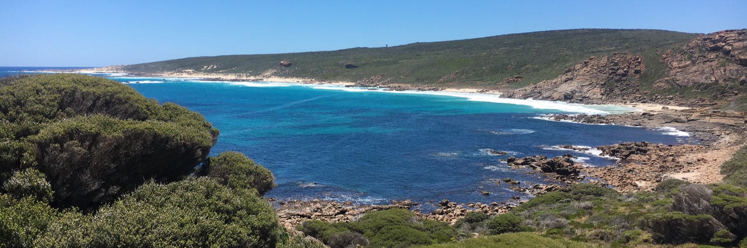 Mel Mc Intyre banner