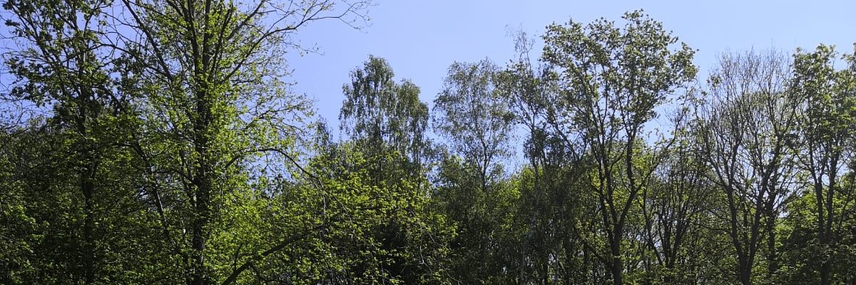 JodieWebber5's profile banner image