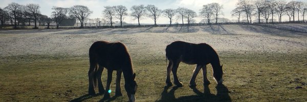 xrp_alchemy Profile Banner