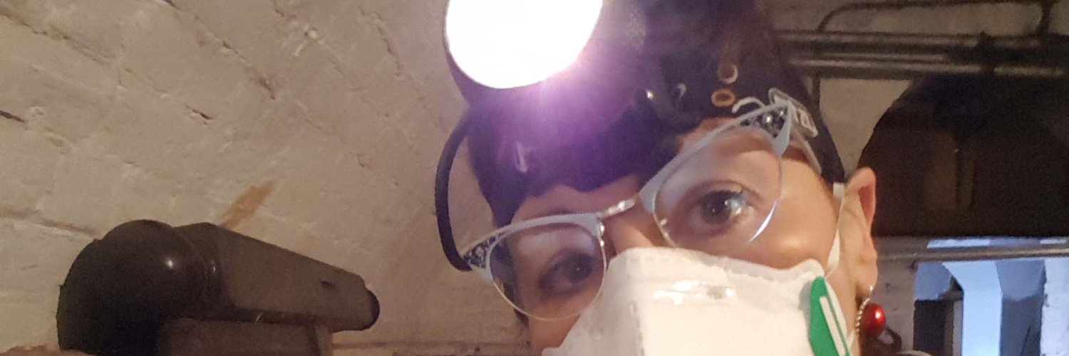 Sandra Lawrence banner