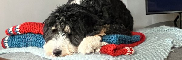 lucysarahmorse Profile Banner