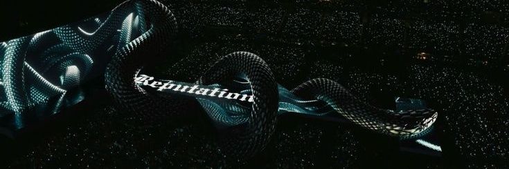 delicatereps's profile banner image