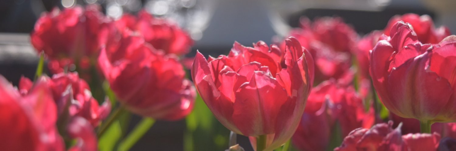 ym_mtk's profile banner image