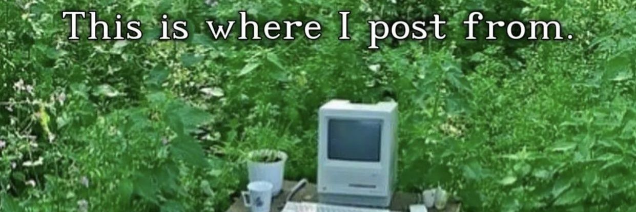 hier.bitas🌱 banner