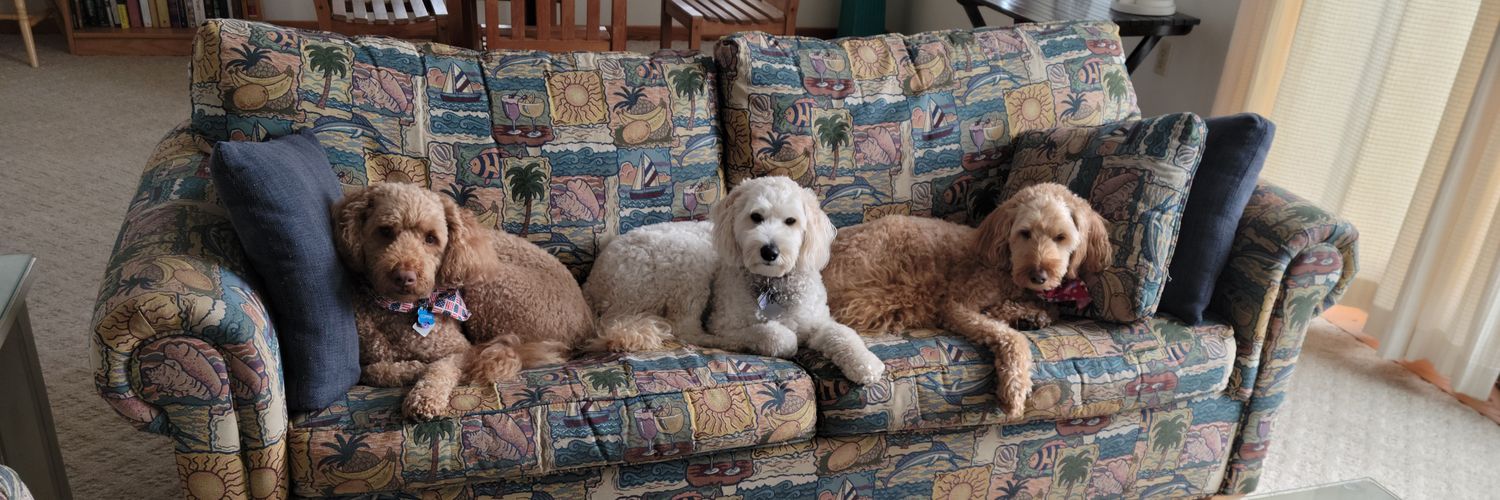 Grillmaster2000 banner