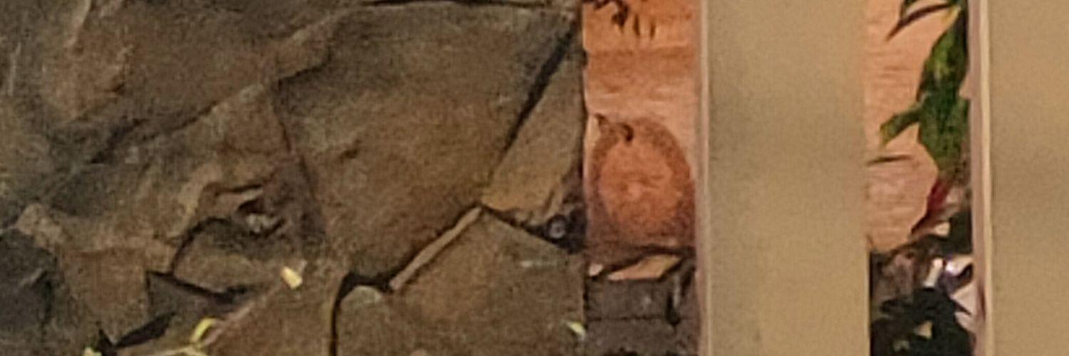 ade tri Suci Amalia banner