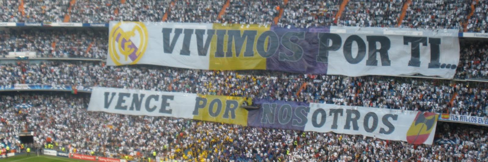 Secretario de Te Vigilo's banner